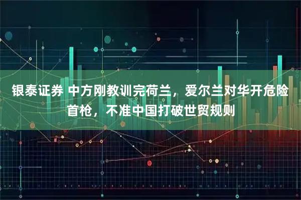 银泰证券 中方刚教训完荷兰，爱尔兰对华开危险首枪，不准中国打破世贸规则