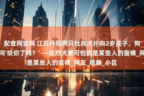 配查网官网 江苏丹阳两只杜宾犬扑向2岁孩子，狗主人却嚣张质问‘咬你了吗？’——比烈犬更可怕的是某些人的蛮横_网友_视频_小区
