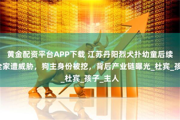 黄金配资平台APP下载 江苏丹阳烈犬扑幼童后续!被扑全家遭威胁,狗主身份被挖,背后产业链曝光_杜宾_孩子_主人