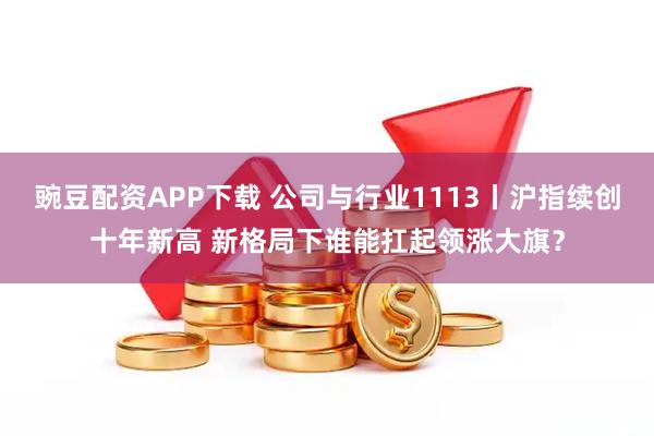 豌豆配资APP下载 公司与行业1113丨沪指续创十年新高 新格局下谁能扛起领涨大旗？