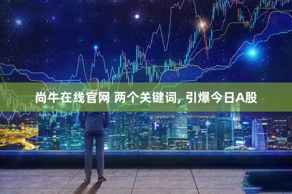 尚牛在线官网 两个关键词, 引爆今日A股