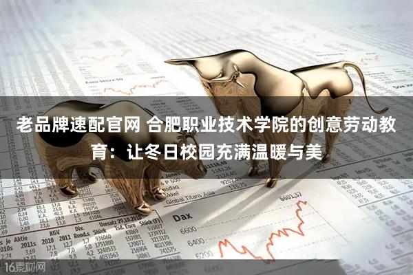 老品牌速配官网 合肥职业技术学院的创意劳动教育:让冬日校园充满温暖与美