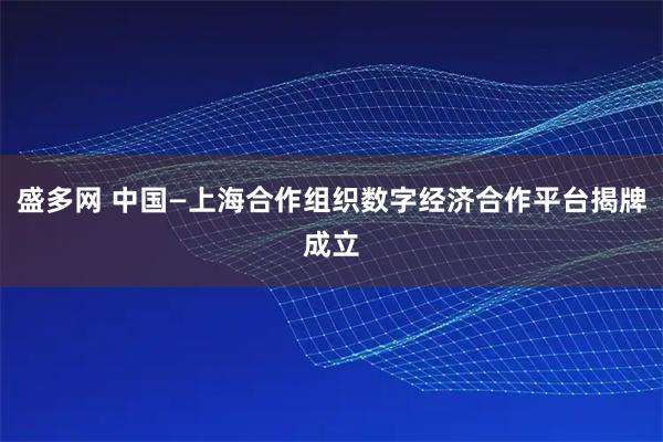 盛多网 中国—上海合作组织数字经济合作平台揭牌成立